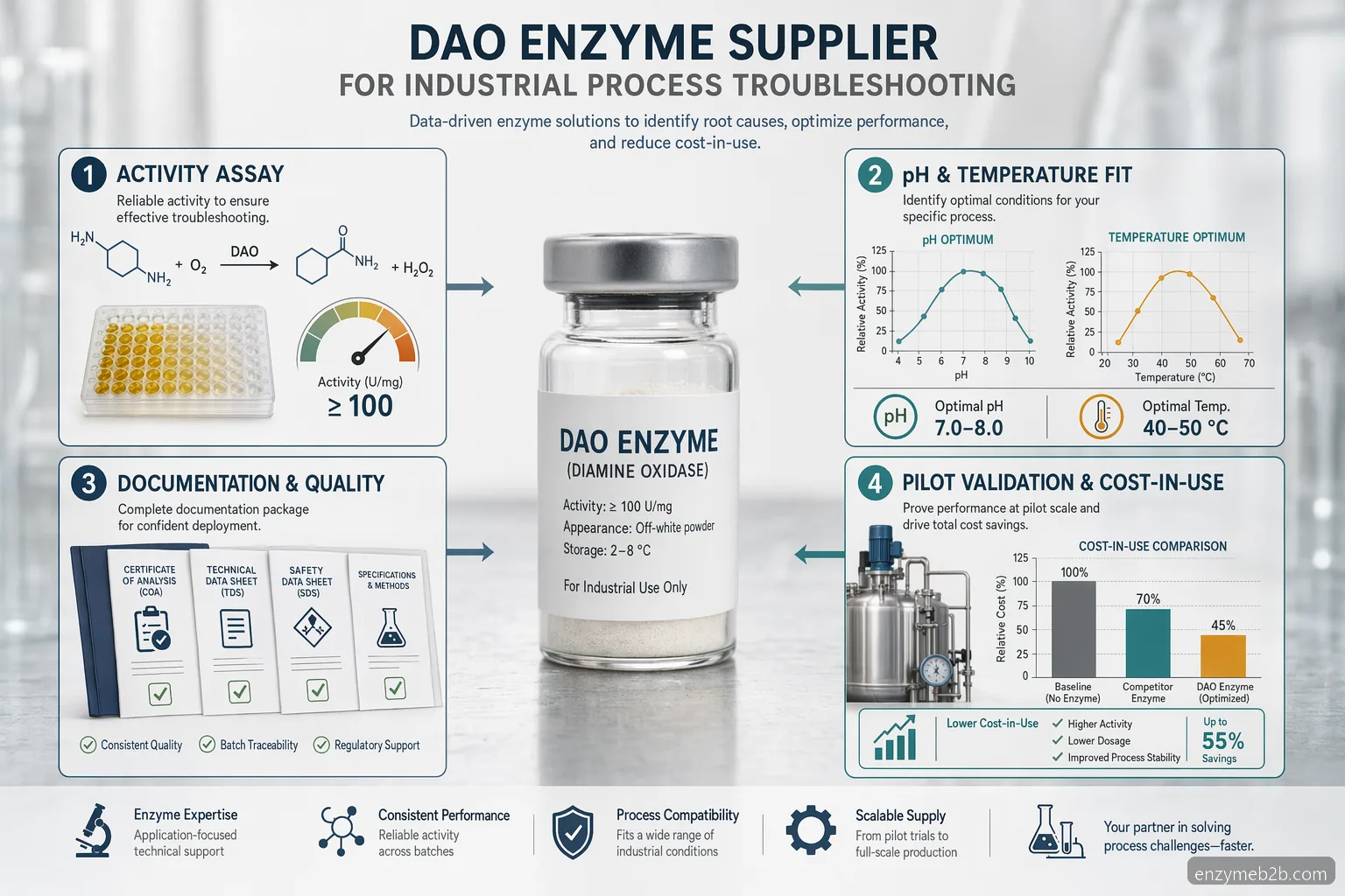 dao enzyme supplier industrial process troubleshooting infographic with activity, documentation, pilot, and cost checkpoints