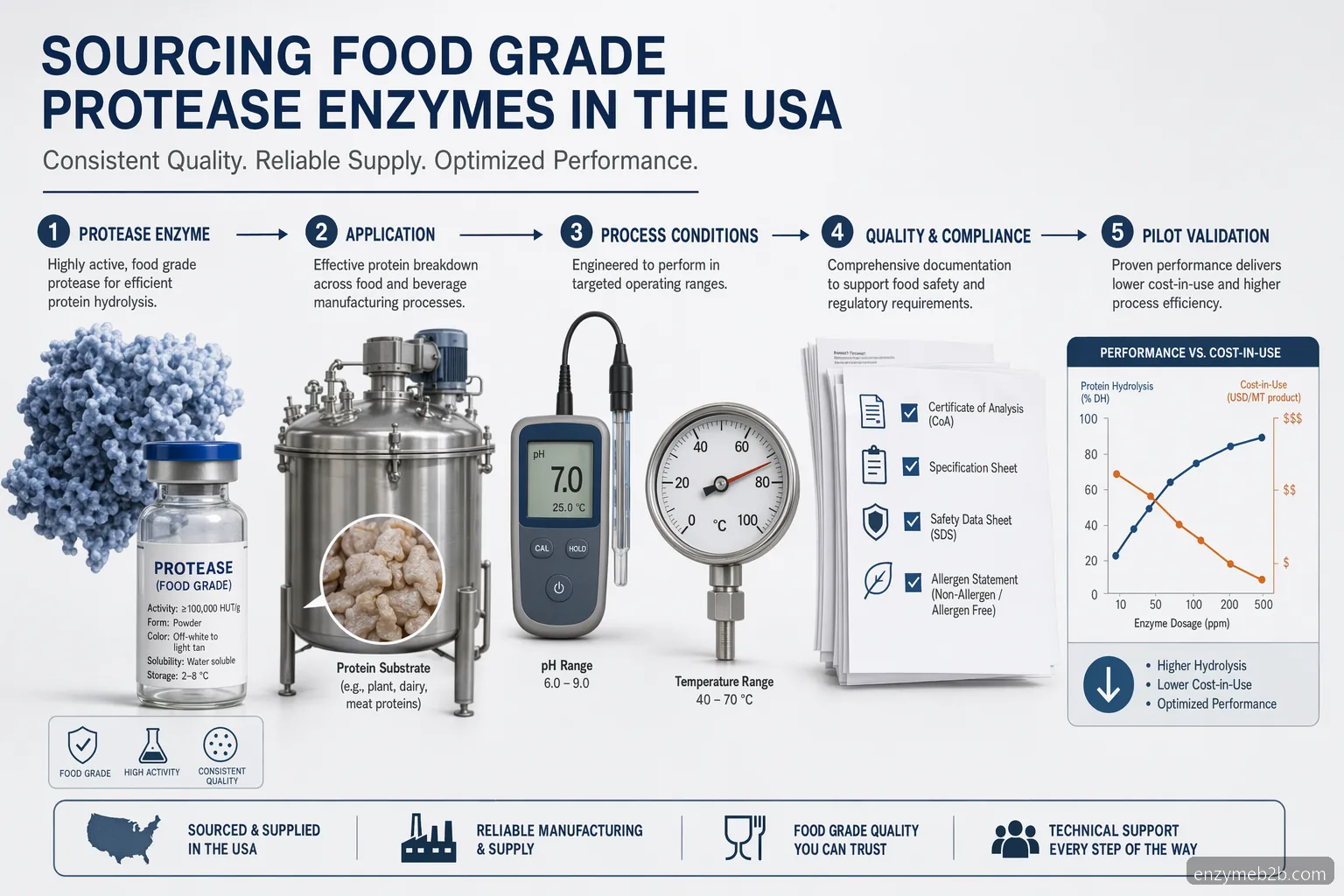 food grade protease enzyme supplier usa process guide infographic covering sourcing, validation, documents, and supply