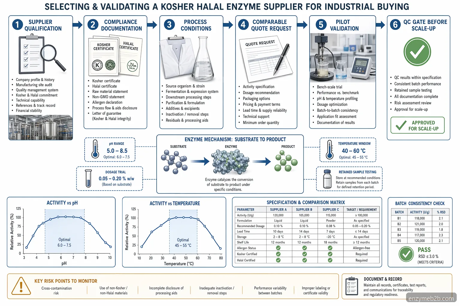 kosher halal enzyme supplier process diagram mapping pH, temperature, substrate testing, pilot QC, and scale-up gates